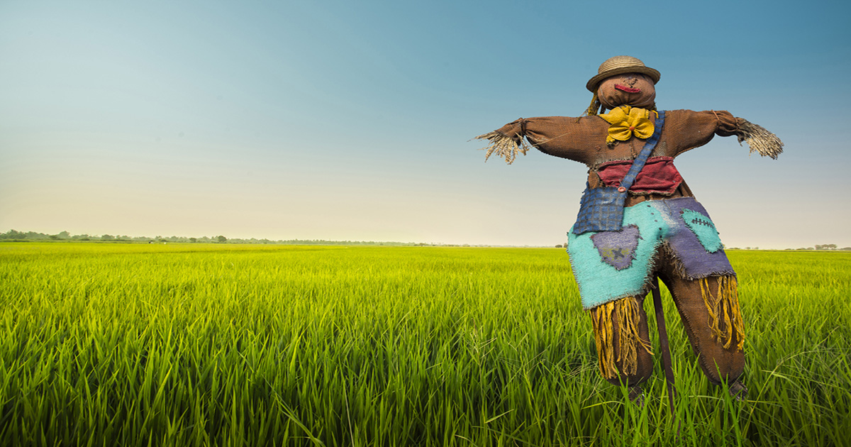 The Bicom Scarecrow