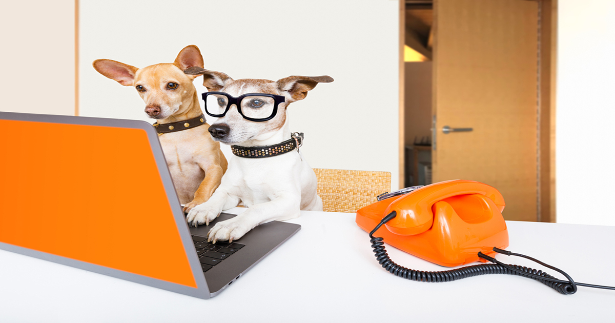 gloCOM is your best friend when...