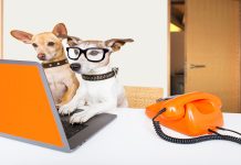 gloCOM is your best friend when...