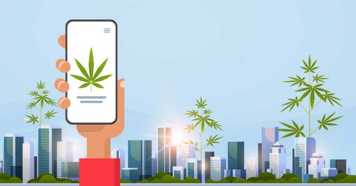 Cannabis and Telecom Industry are Similar