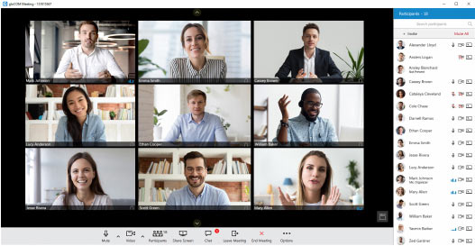 gloCOM Meeting, video conferencing